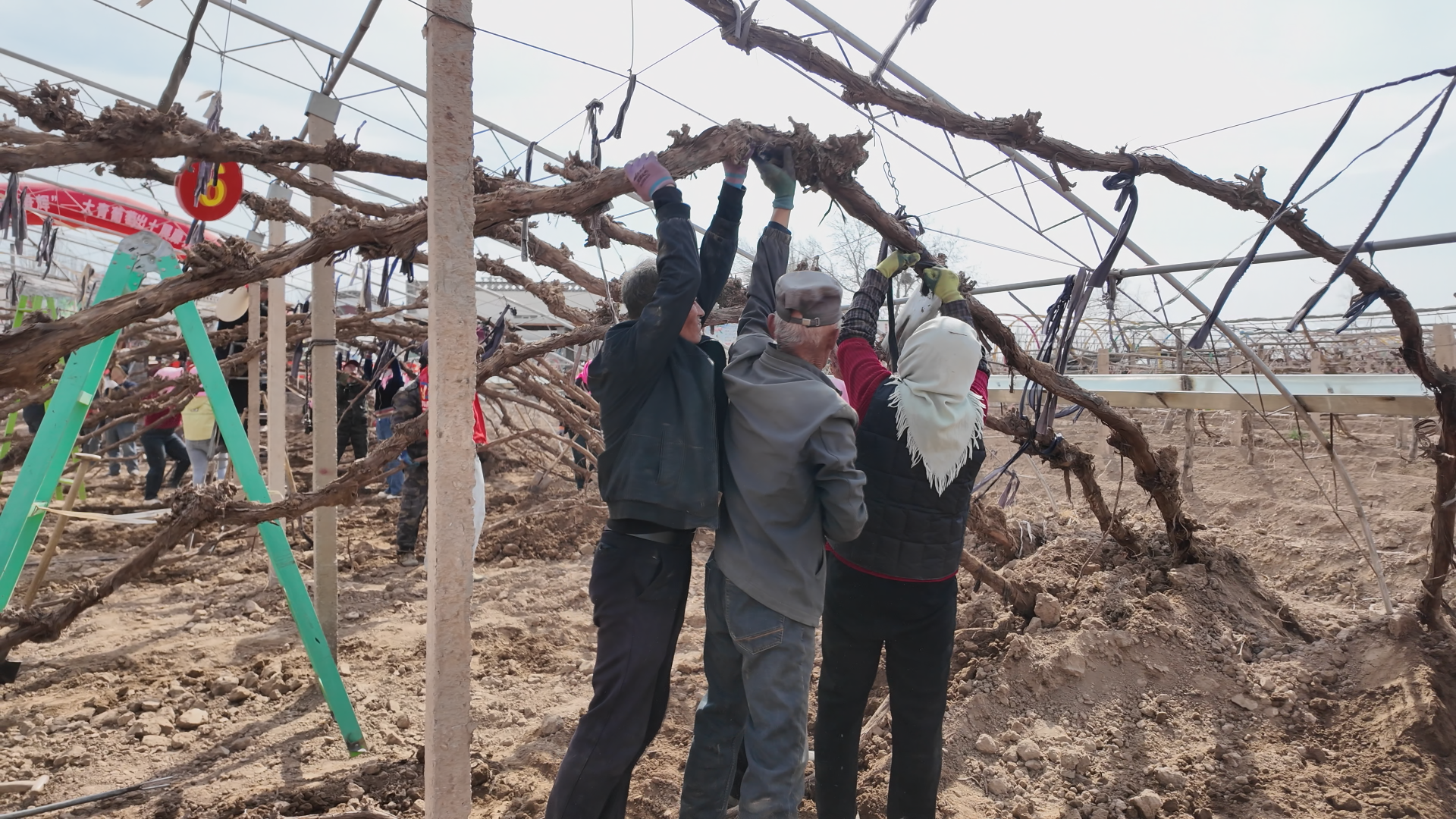 微信圖片_2026-04-07_172952_399.bmp